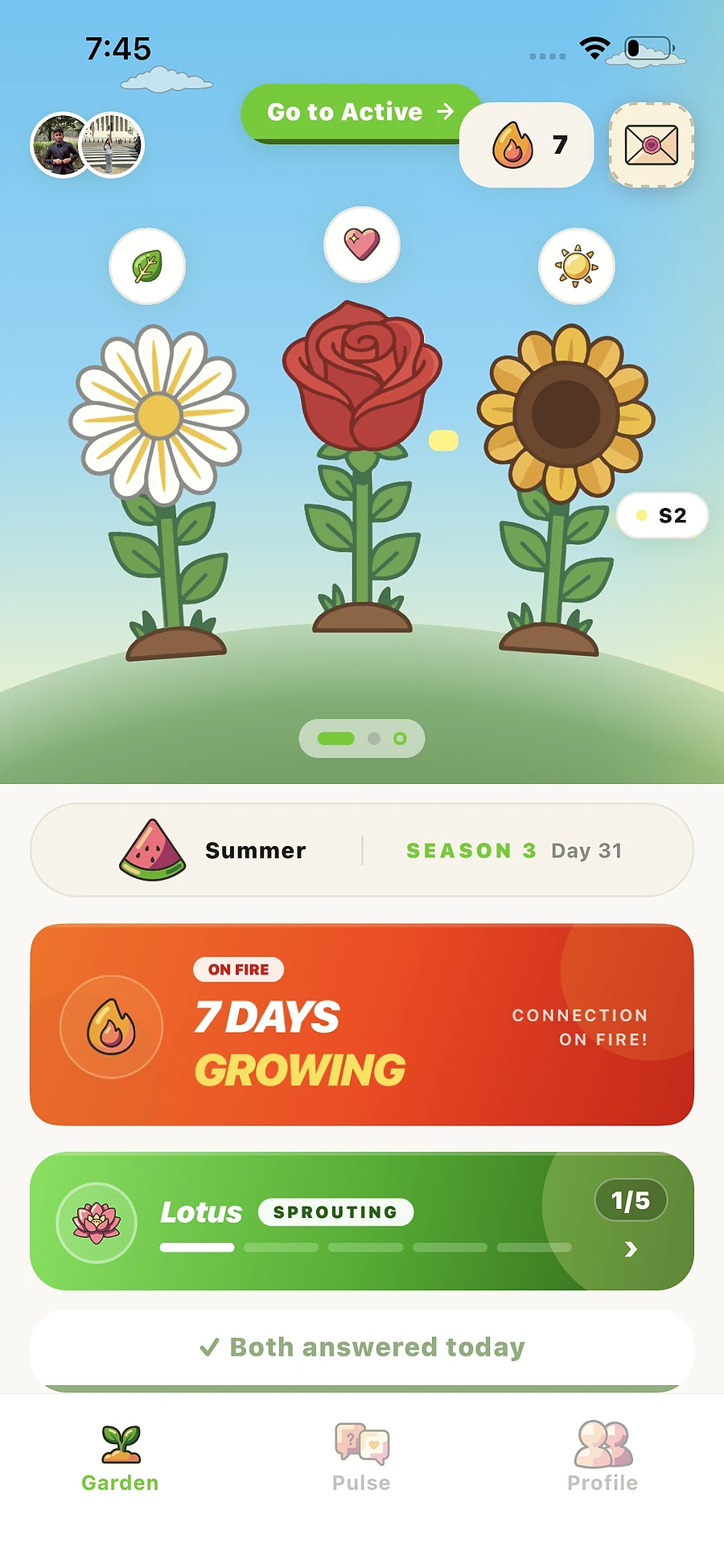 A daisy, rose and sunflower growing in your garden