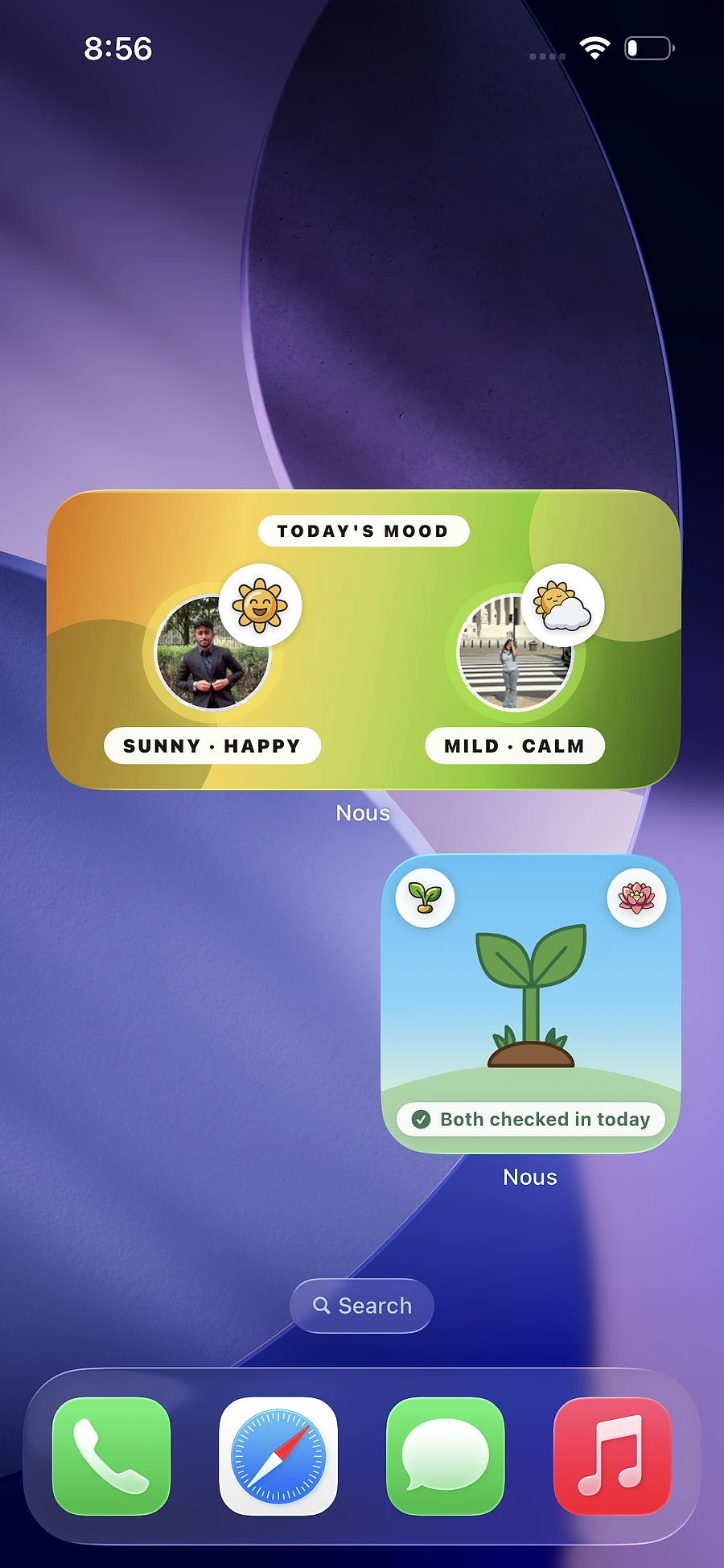 Both Nous widgets on an iPhone Home Screen